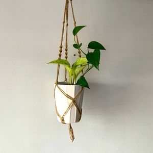 Macrame Plant Hangers